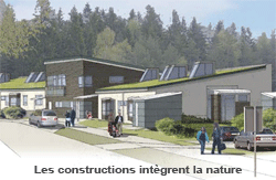 Ecologie, d&eacute;veloppement durable